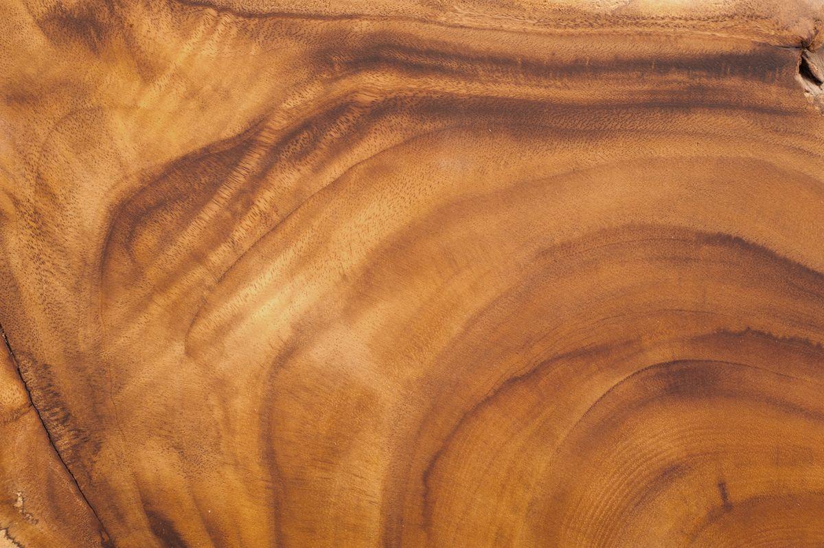 Essences de bois