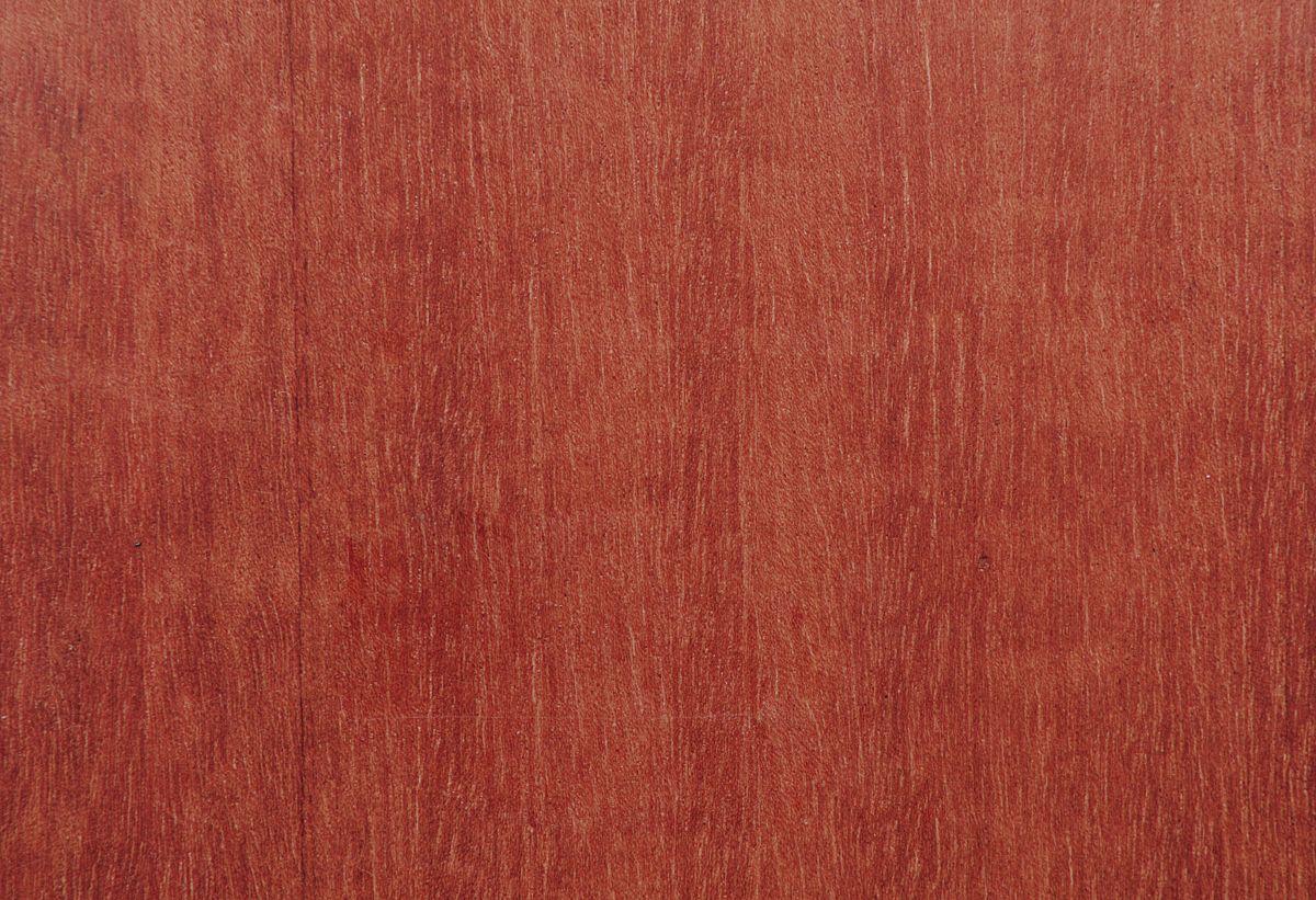 Sequoia